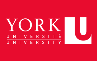 York University 